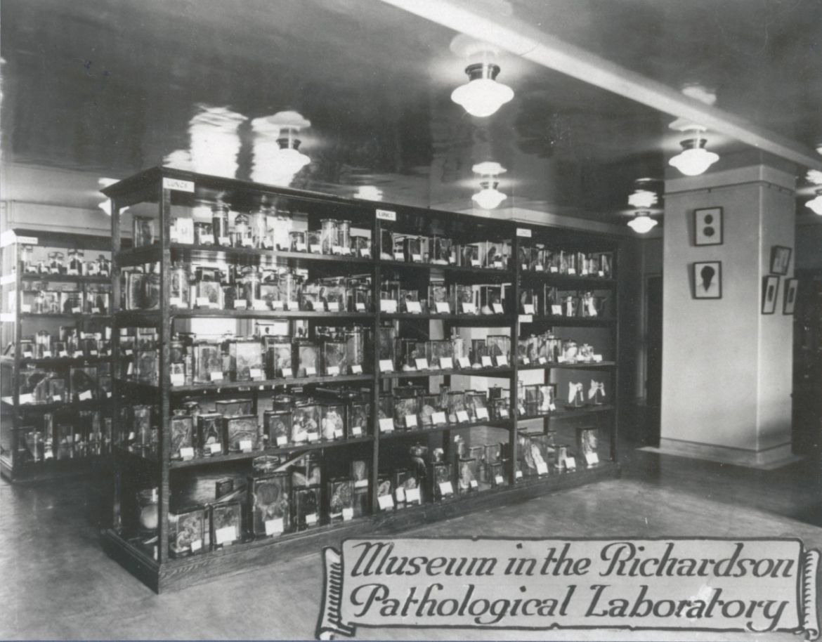 Museum in the Richardson Pathology Labs late 1920's
