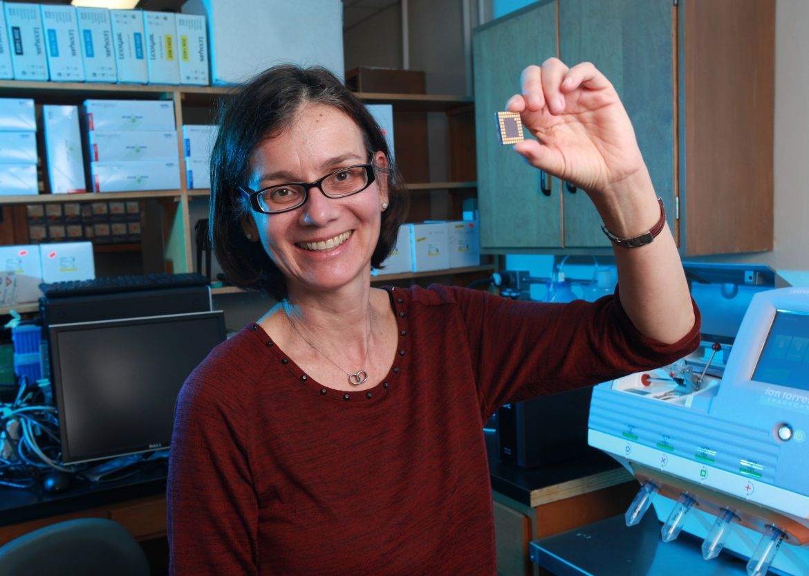 Harriet Feilotter is leading a team investigating immunotherapy treatments for lung cancer, and is collaborating with Nazik Hammad on examining better treatment options for colorectal cancer.