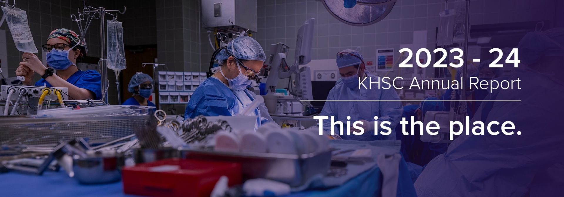 2024-Annual-Report-Header-Image