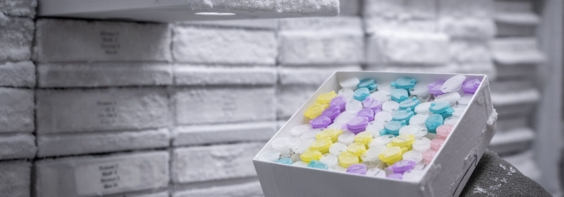 A tray of specimens in freezer