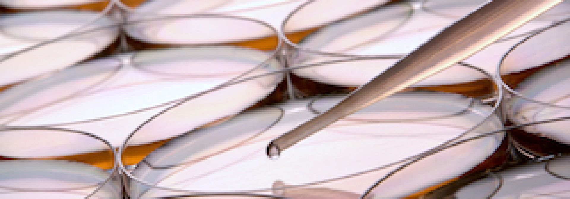 Petri dish for science research