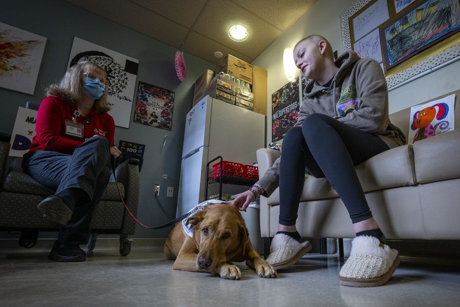 Julie Halle and Dog interact with a KHSC patient. Doc is lying on the ground, while the patient is sitting on a couch petting him, while talking to Julie who is sitting opposite her on a different chair.