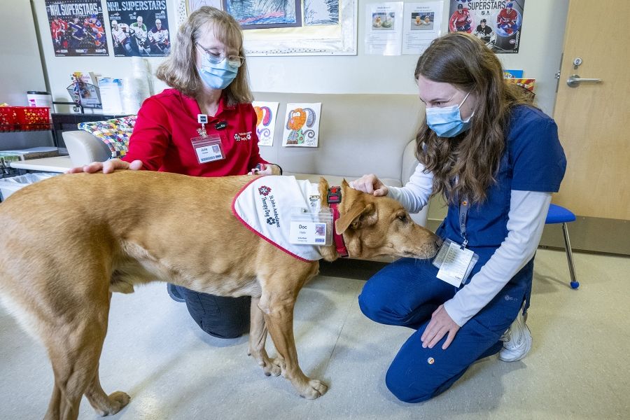 Julie Halle and a KHSC staff member crouch on the floor as the chat together while petting Dog. Dog is seen wearing his ID badge and St. John Ambulance Therapy Dog bandana.