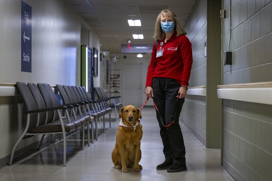 Julie Halle and Doc are standing in a hallway at the KGH site facing the camera. Both are wearing their St. John Ambulance Therapy Dog apparel, as well as their KHSC ID badges.
