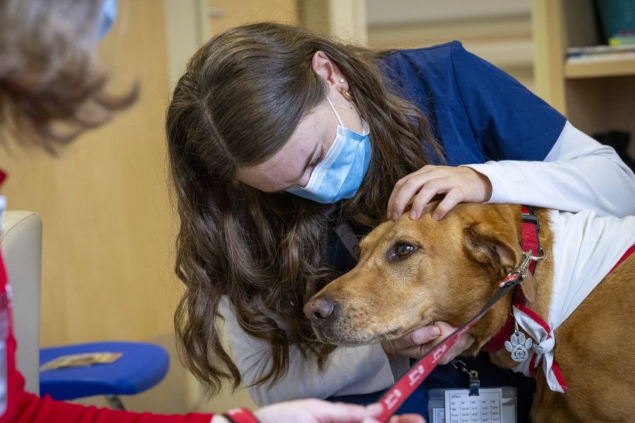 A close up shot of a KHSC staff member crouching on the floor as she pets Doc on the head.