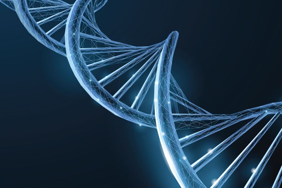 KHSC) clinician-scientist and Queen's researcher Dr Jagdeep Walia has generated preclinical evidence for a gene therapy approach that may be a potential treatment for GM2 gangliosidoses, also referred to as Tay-Sachs (TSD) and/or Sandhoff disease (SD).