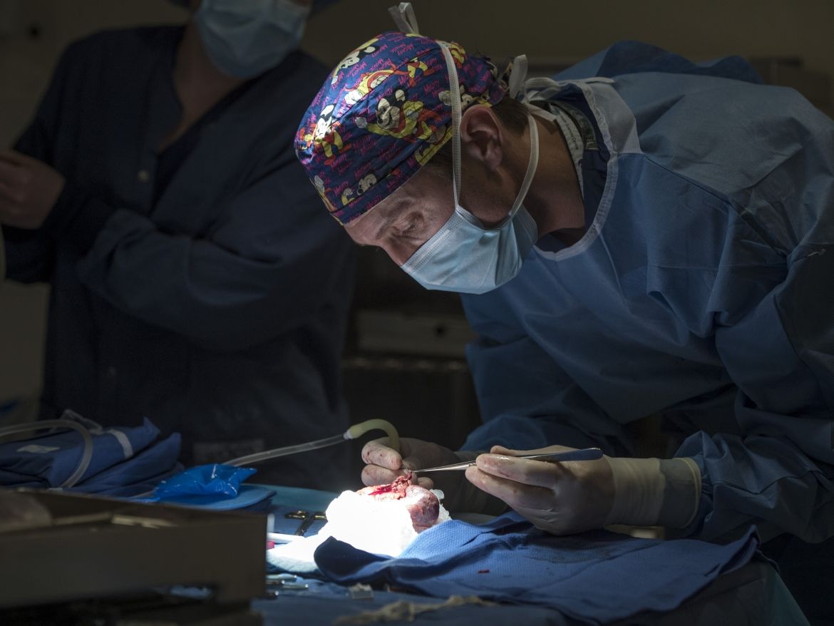 Dr. McGregor prepares the kidney before it is transplanted into the recipient. It is cleaned, flushed and packed on ice until the transplantation procedure begins.