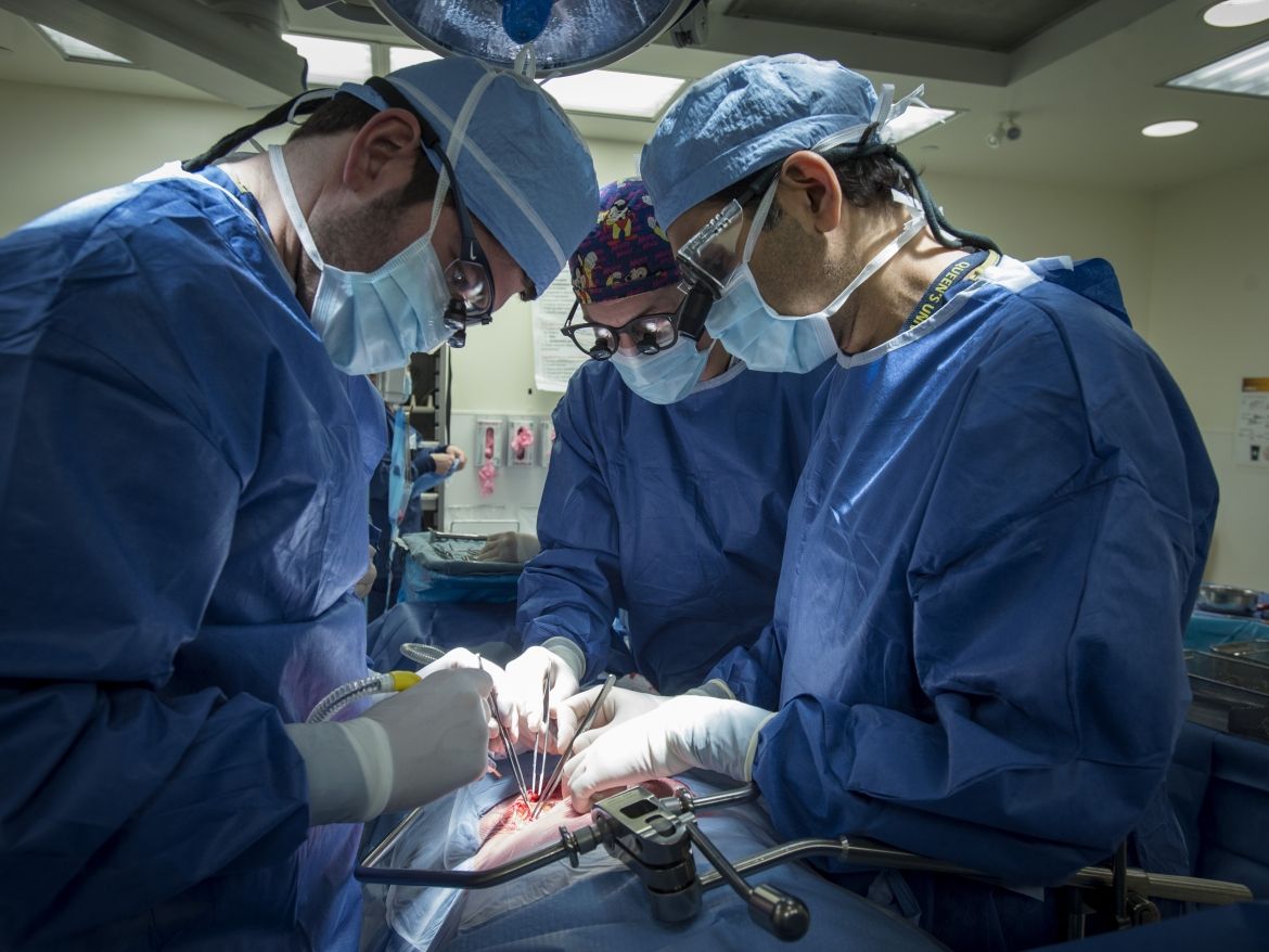 KHSC's surgical team prepares to remove a kidney from a living kidney donor at our KGH site.